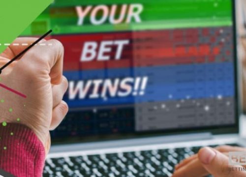What are the top 5 reasons for bettors relying on betting tips1